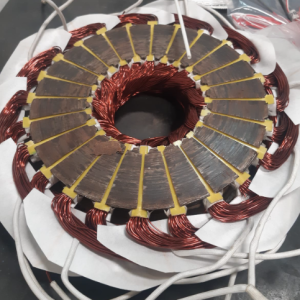 Belitan Custom Motor Axial Flux